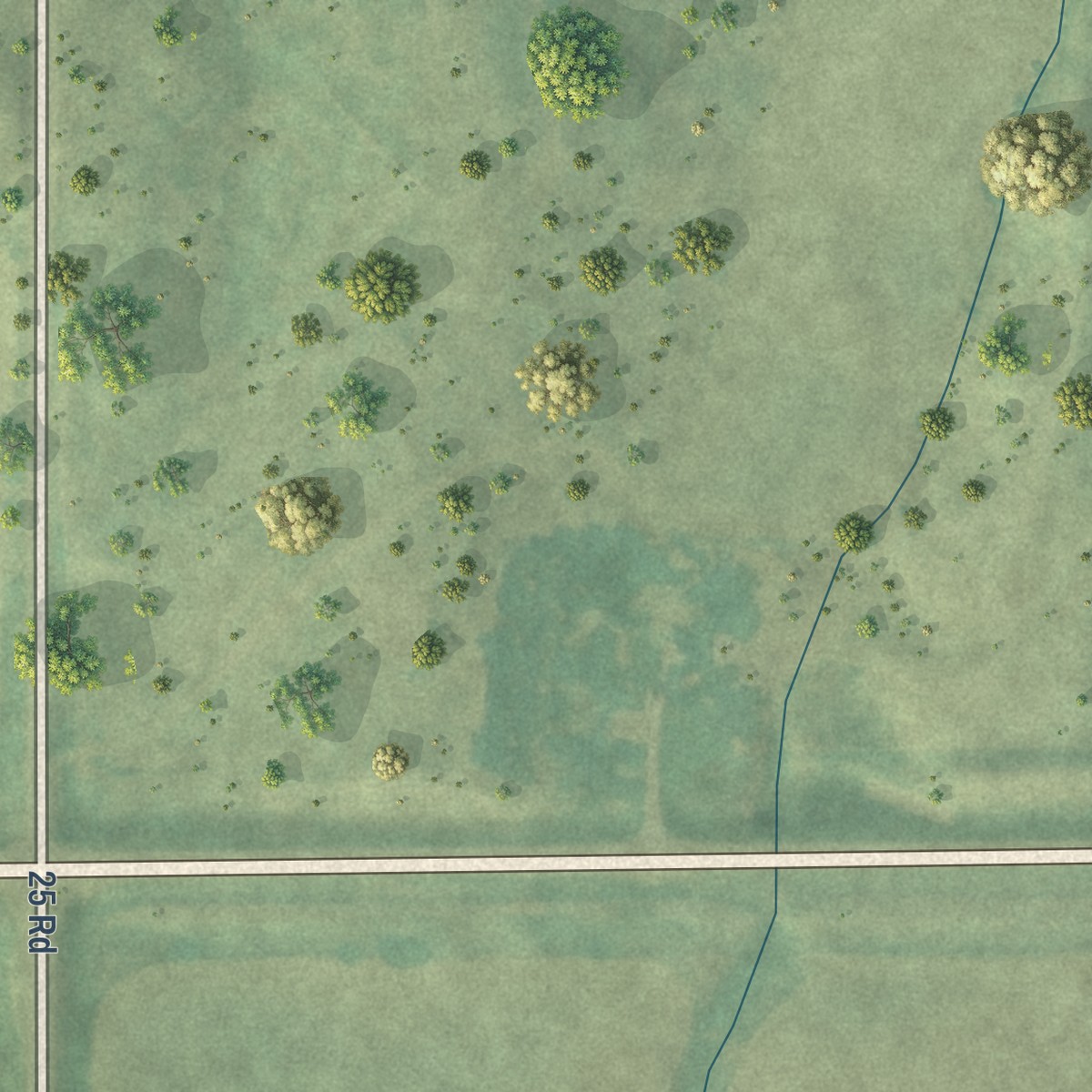 Second close-up of the map of Codell, Kansas print showing more streets and buildings