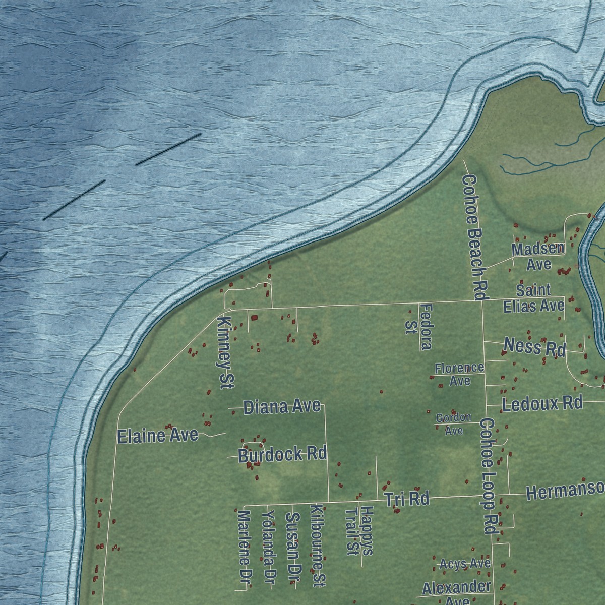 Second close-up of the map of Cohoe, Alaska print showing more streets and buildings