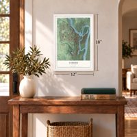 Cohoes, New York map, 12 x 18 inch print in a white frame in an entryway