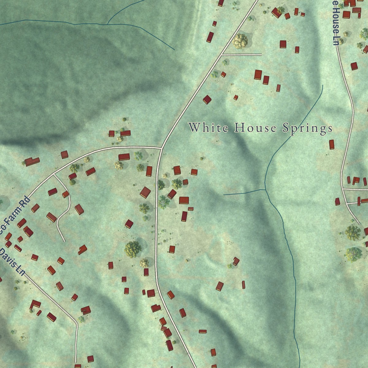 Second close-up of the map of Colbert Heights, Alabama print showing more streets and buildings