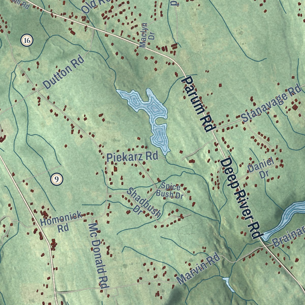 Second close-up of the map of Colchester, Connecticut print showing more streets and buildings