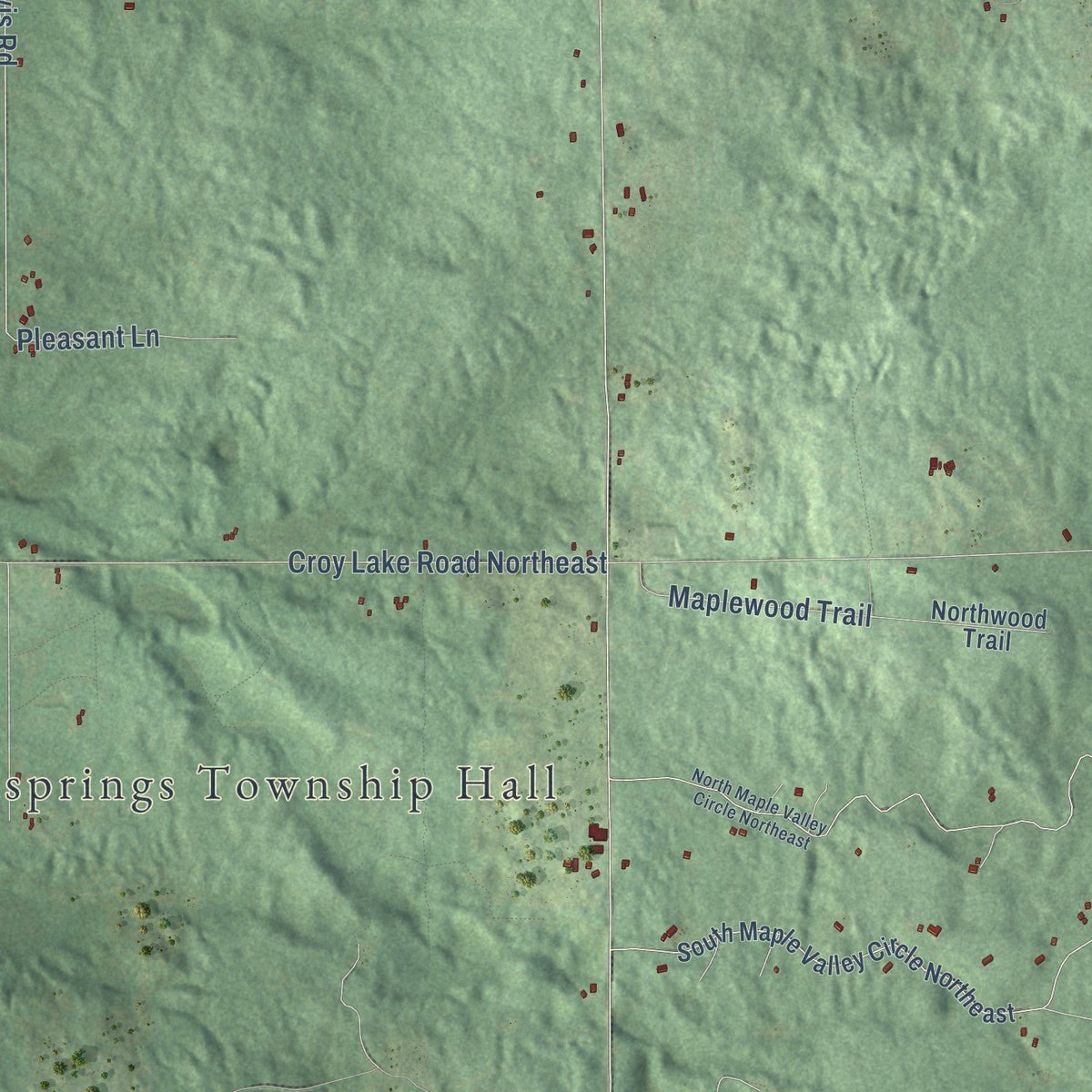 Second close-up of the map of Coldsprings, Michigan print showing more streets and buildings