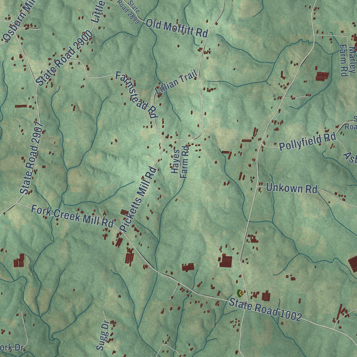 Second close-up of the map of Coleridge, North Carolina print showing more streets and buildings