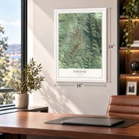 Colfax, California map, 18 x 24 inch print in a white frame in a home office