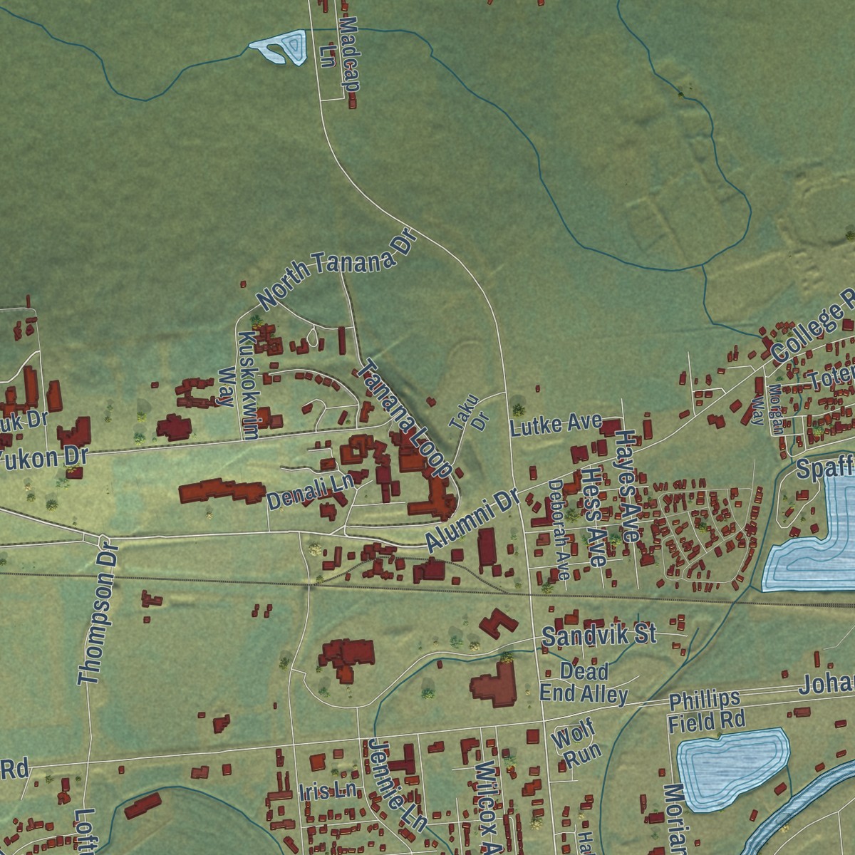 Second close-up of the map of College, Alaska print showing more streets and buildings