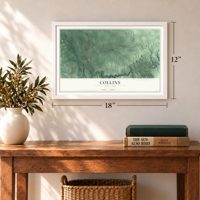 Collins, New York map, 12 x 18 inch print in a white frame in an entryway