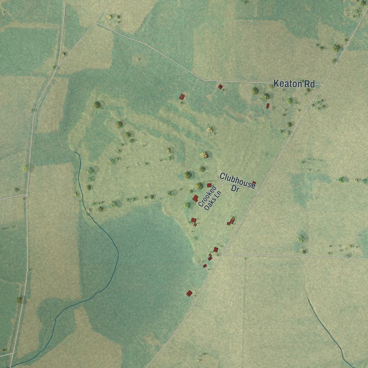 Second close-up of the map of Colquitt, Georgia print showing more streets and buildings