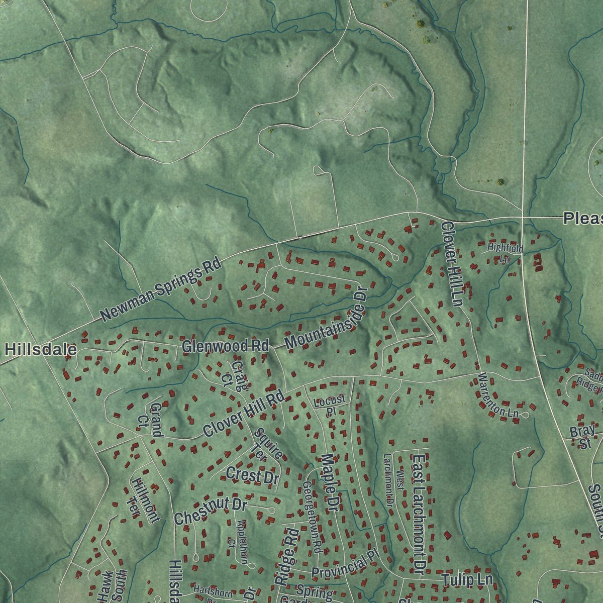 Second close-up of the map of Colts Neck, New Jersey print showing more streets and buildings