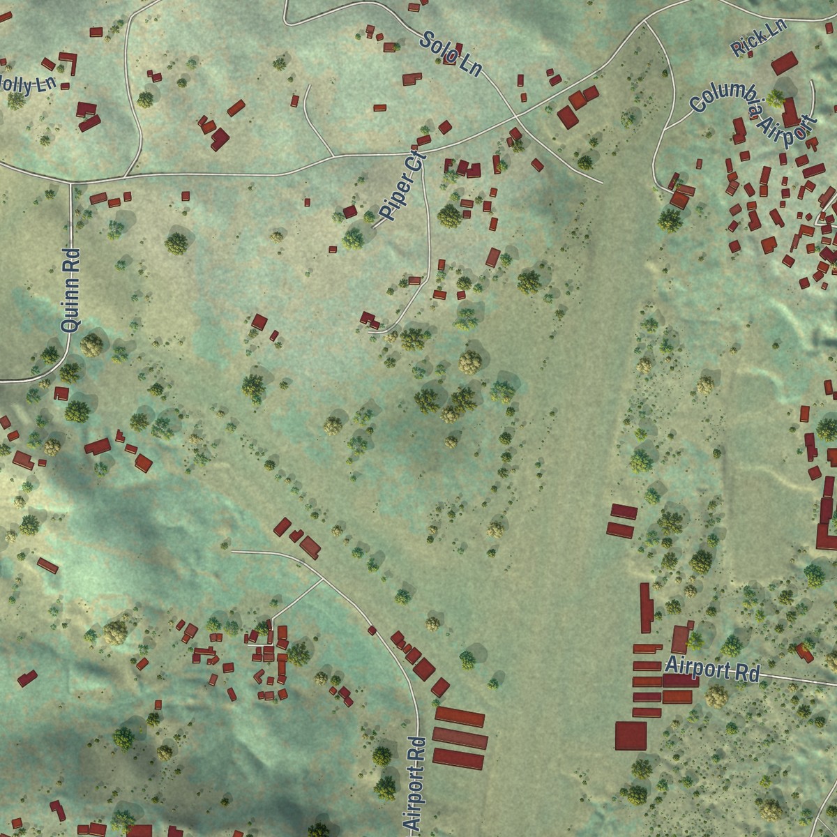 Second close-up of the map of Columbia, California print showing more streets and buildings