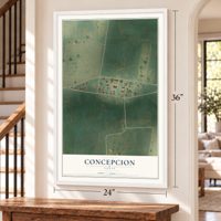 Concepcion, Texas map, 24 x 36 inch print in a white frame by a staircase