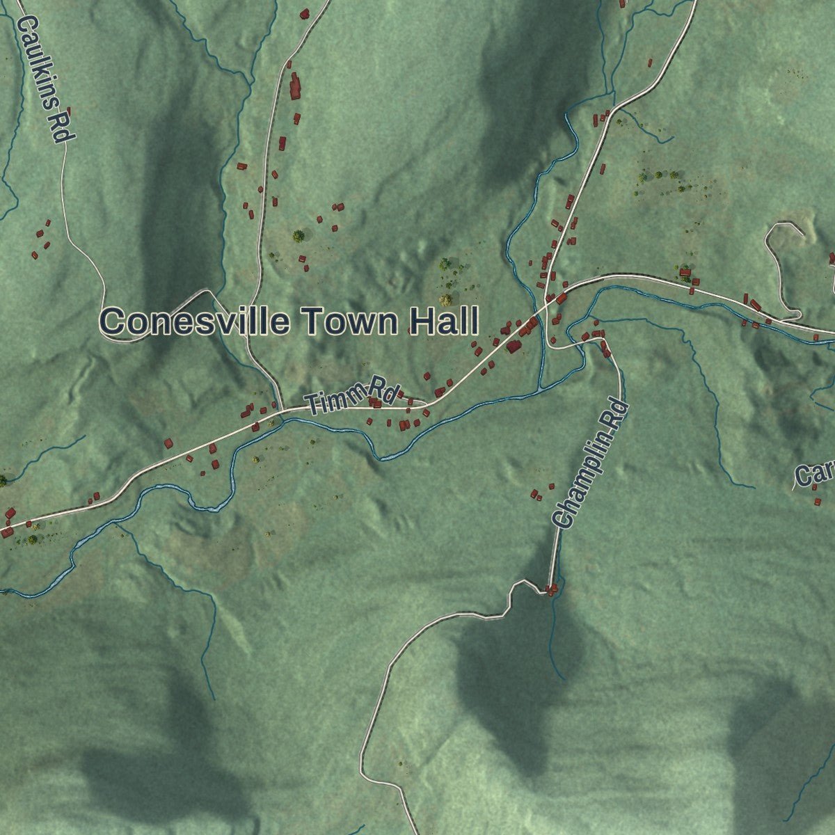 Second close-up of the map of Conesville, New York print showing more streets and buildings