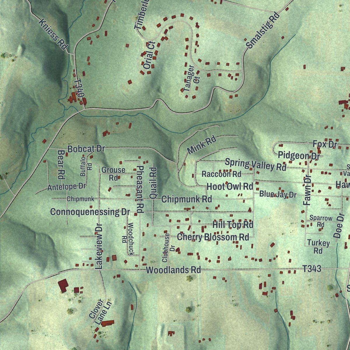 Second close-up of the map of Connoquenessing, Butler County, Pennsylvania print showing more streets and buildings