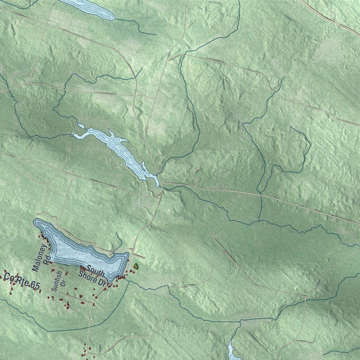 Second close-up of the map of Constantia, New York print showing more streets and buildings