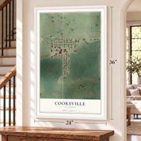 Cooksville, Illinois map, 24 x 36 inch print in a white frame by a staircase