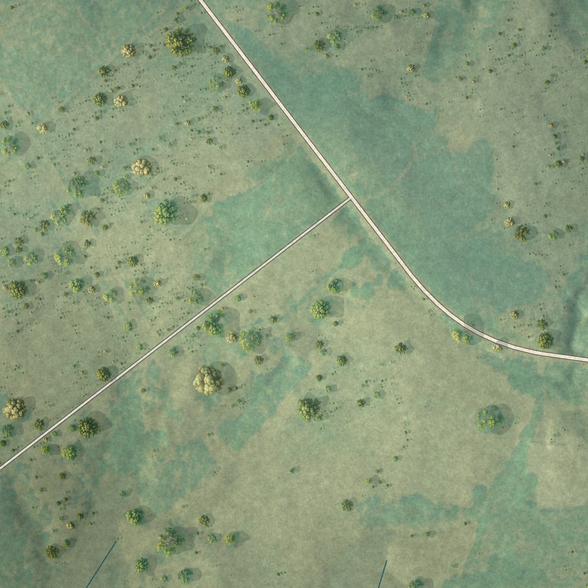 Second close-up of the map of Coronaca, South Carolina print showing more streets and buildings