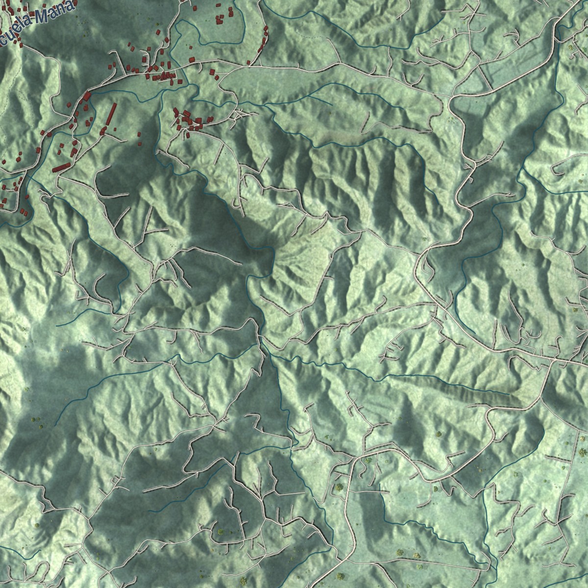 Second close-up of the map of Corozal, Puerto Rico print showing more streets and buildings