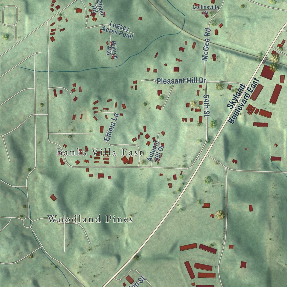 Second close-up of the map of Cottondale, Alabama print showing more streets and buildings