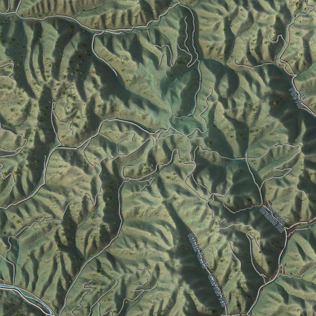 Second close-up of the map of Council, Virginia print showing more streets and buildings