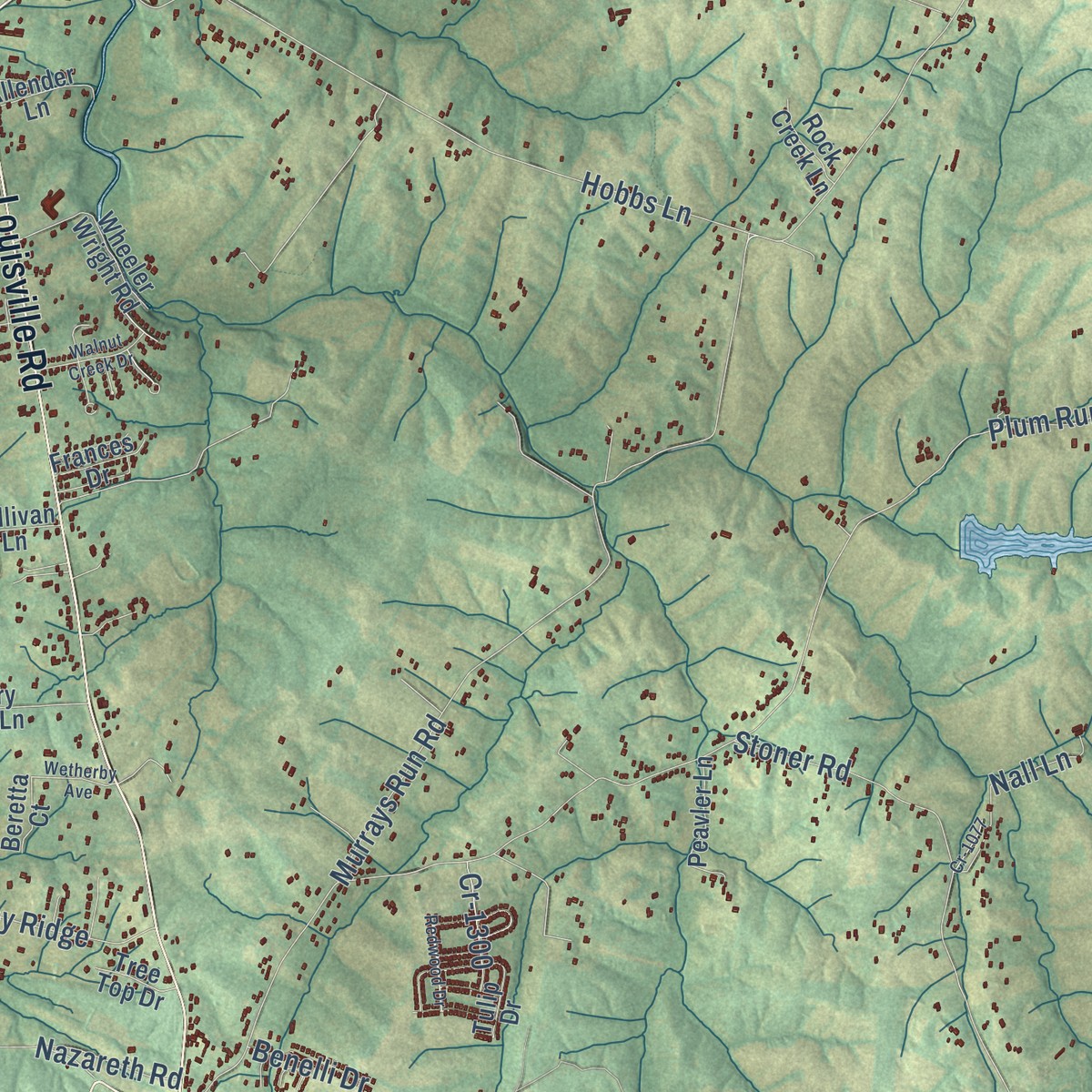 Second close-up of the map of Coxs Creek, Kentucky print showing more streets and buildings