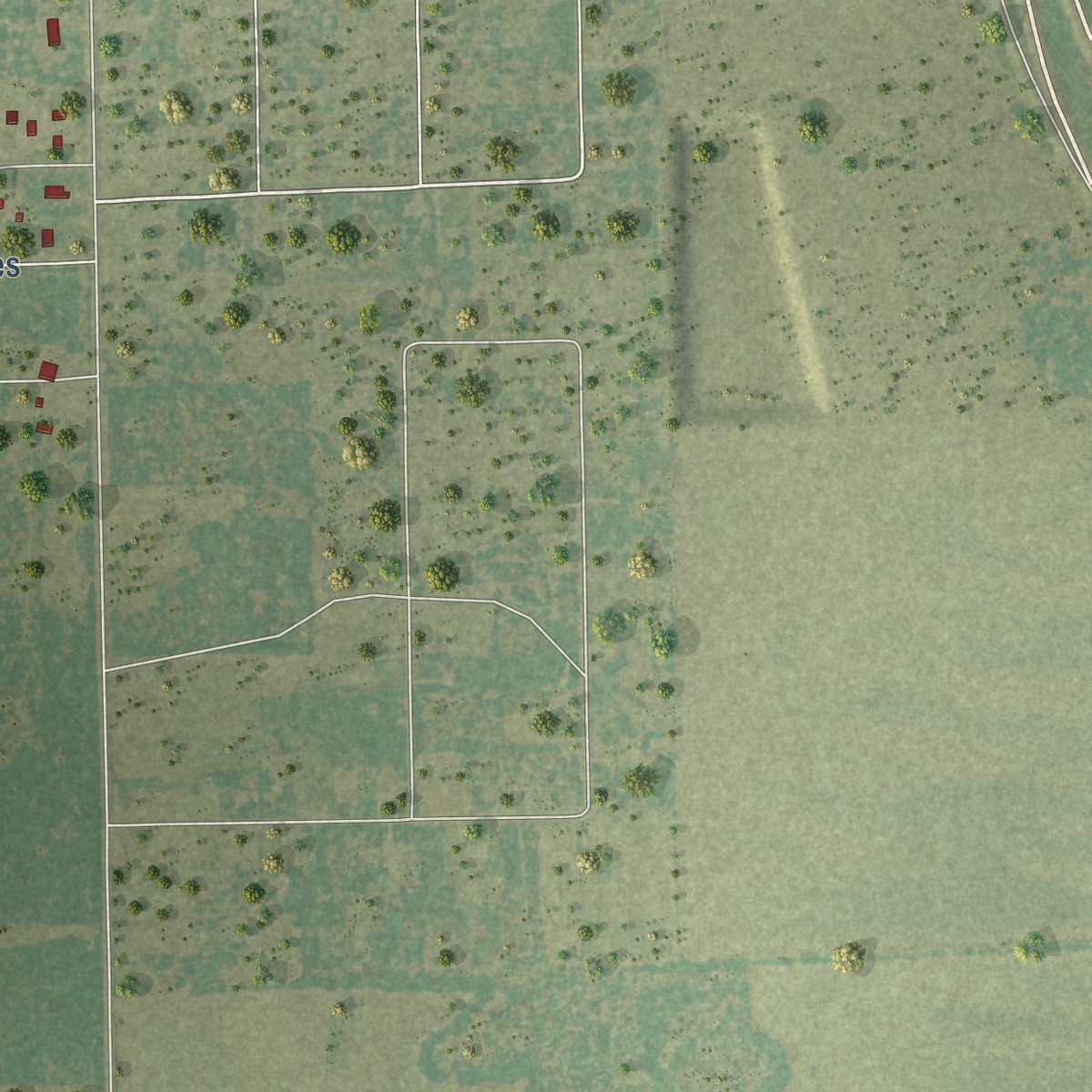 Second close-up of the map of Coyote Acres, Texas print showing more streets and buildings