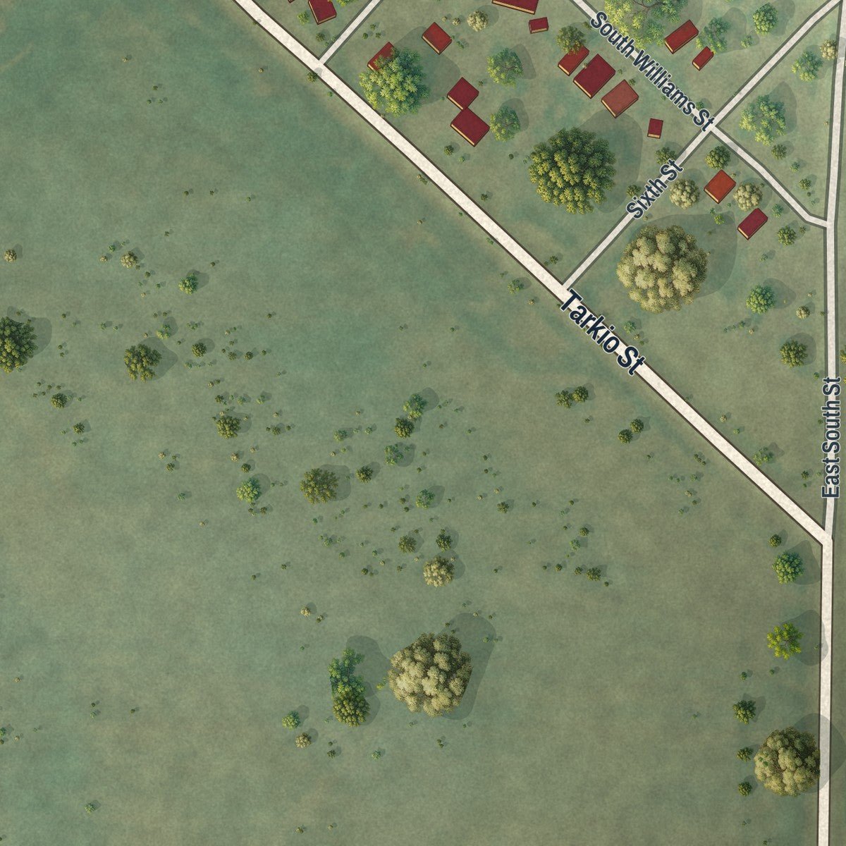Second close-up of the map of Craig, Missouri print showing more streets and buildings