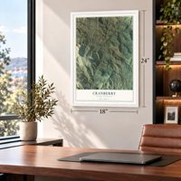 Cranberry, North Carolina map, 18 x 24 inch print in a white frame in a home office