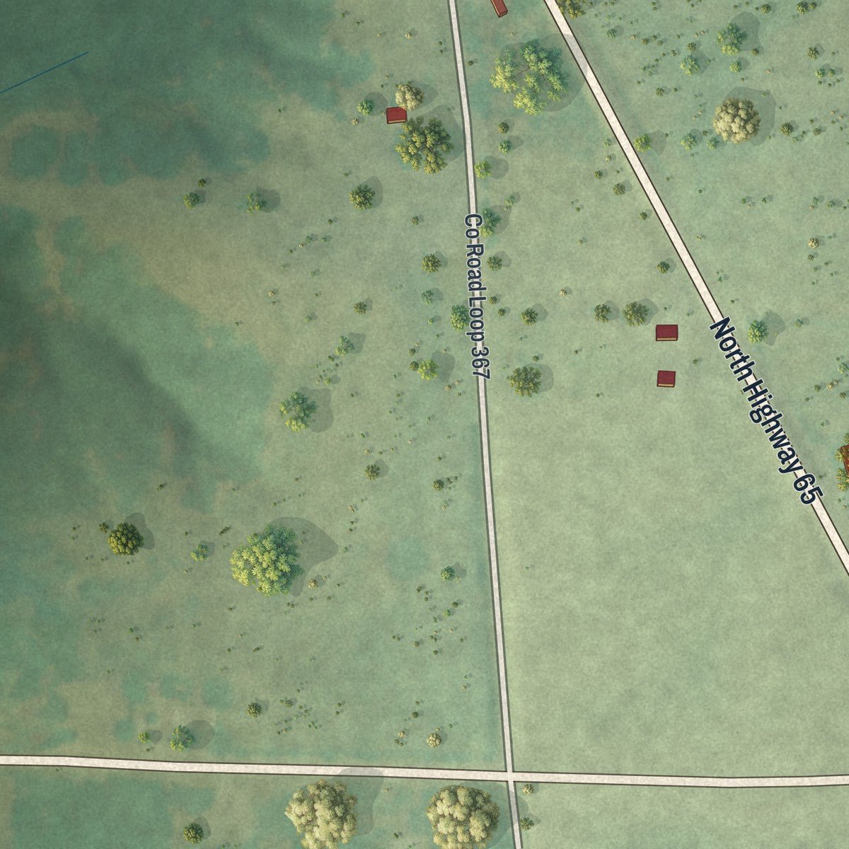 Second close-up of the map of Cross Timbers, Missouri print showing more streets and buildings