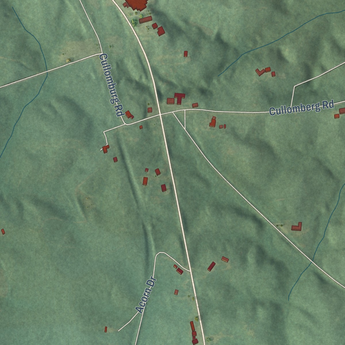 Second close-up of the map of Cullomburg, Alabama print showing more streets and buildings