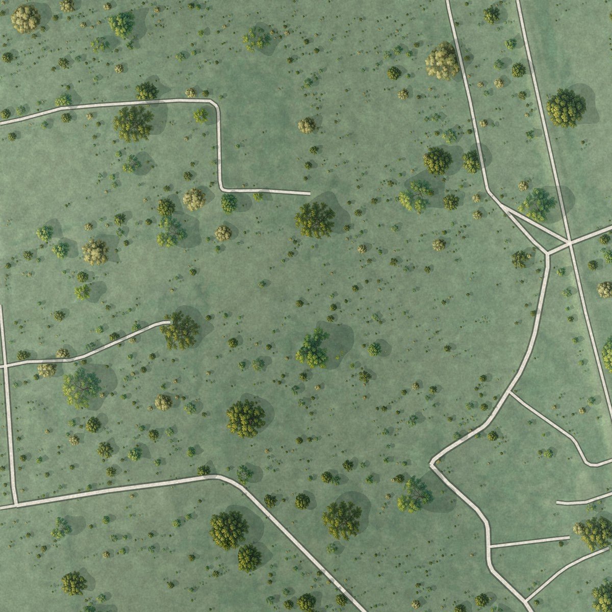 Second close-up of the map of Daisetta, Texas print showing more streets and buildings