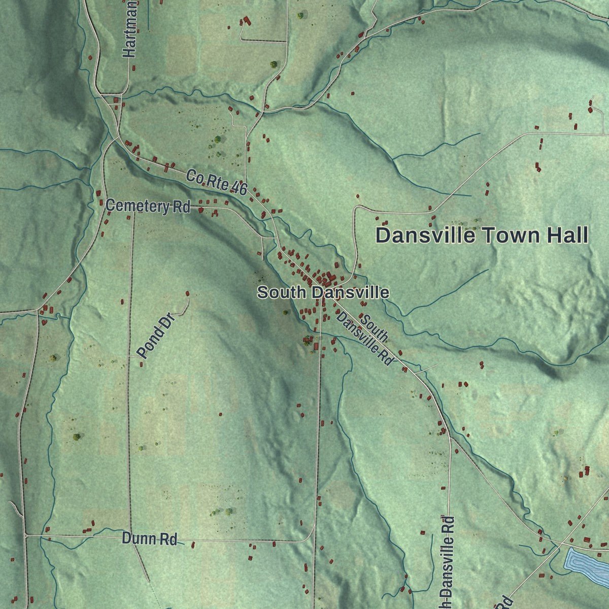 Second close-up of the map of Dansville, Steuben County, New York print showing more streets and buildings