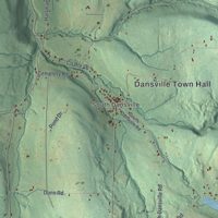 Second close-up of the map of Dansville, Steuben County, New York print showing more streets and buildings