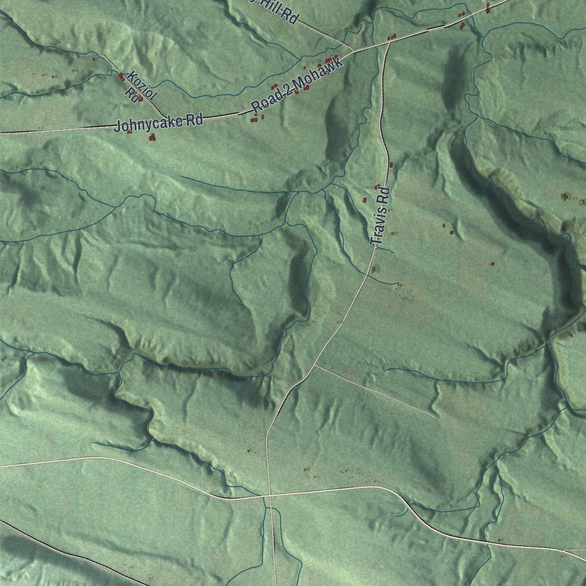 Second close-up of the map of Danube, New York print showing more streets and buildings