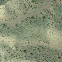 Second close-up of the map of Datil, New Mexico print showing more streets and buildings