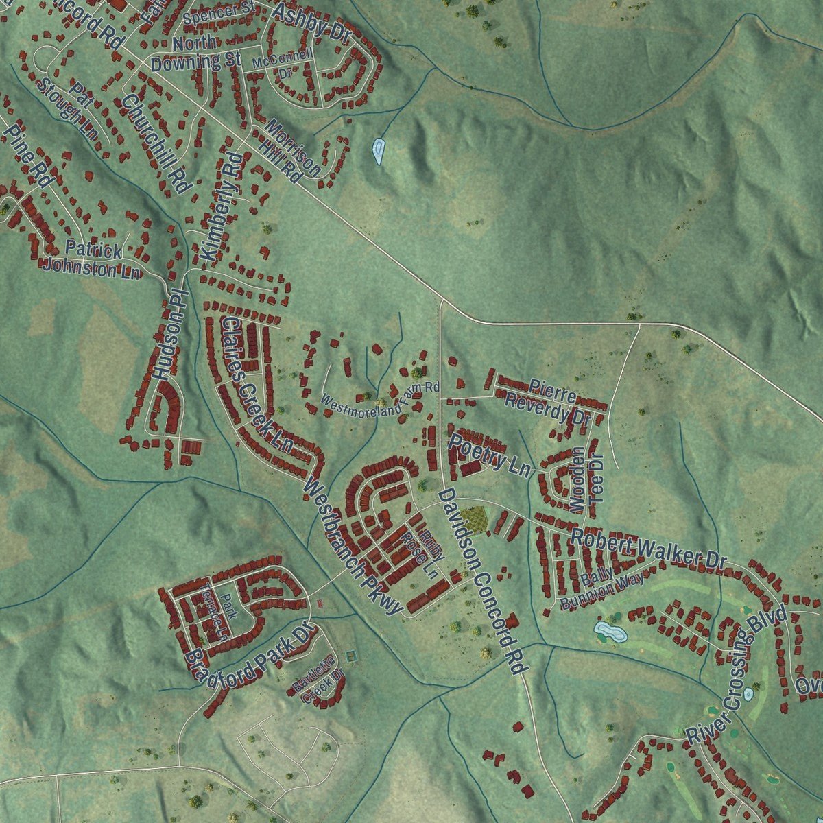 Second close-up of the map of Davidson, North Carolina print showing more streets and buildings