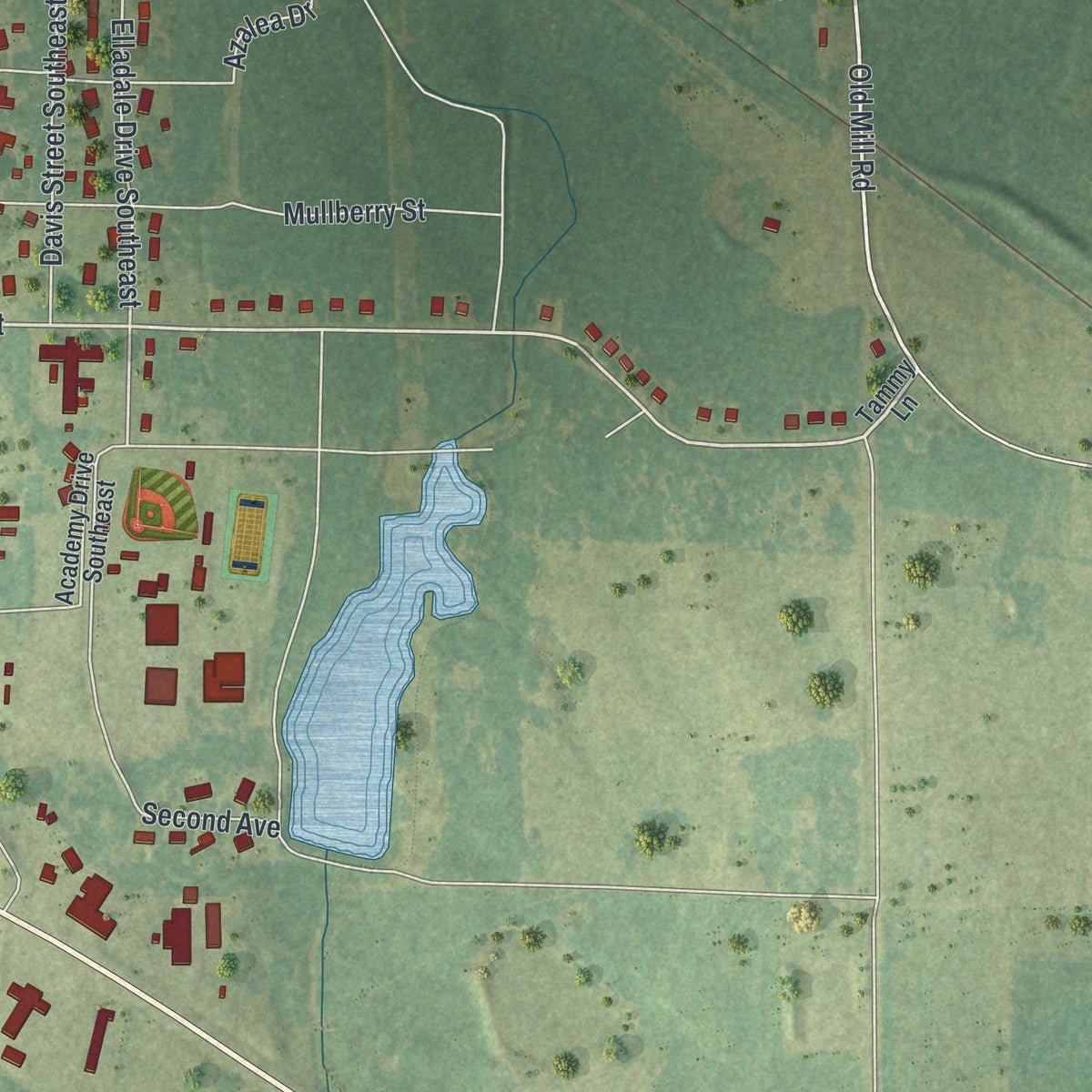 Second close-up of the map of Dawson, Georgia print showing more streets and buildings