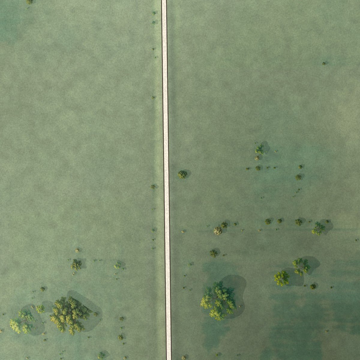 Second close-up of the map of Deer Grove, Illinois print showing more streets and buildings