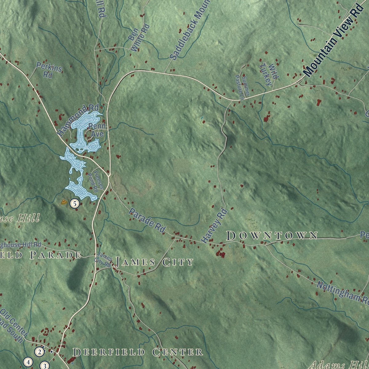 Second close-up of the map of Deerfield, New Hampshire print showing more streets and buildings