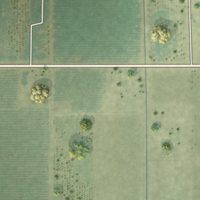 Second close-up of the map of Delft Colony, California print showing more streets and buildings