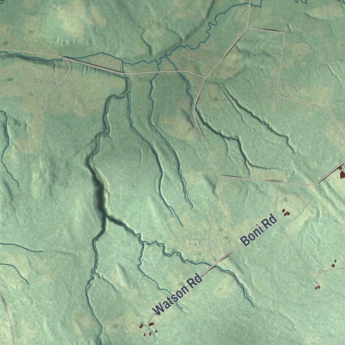 Second close-up of the map of Denmark, New York print showing more streets and buildings