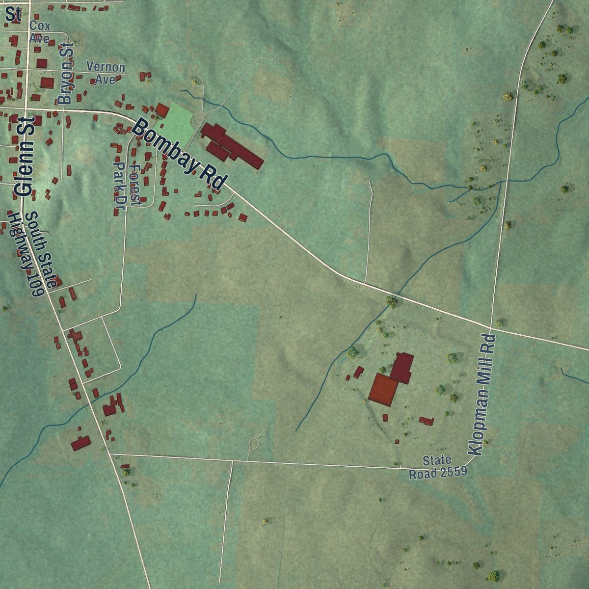 Second close-up of the map of Denton, North Carolina print showing more streets and buildings