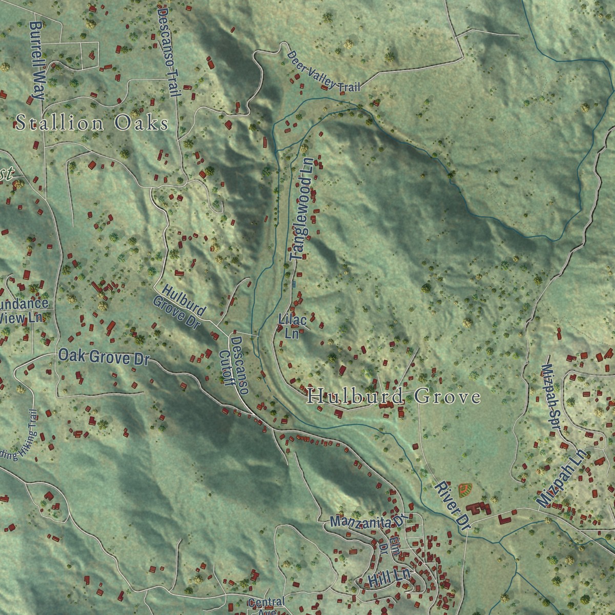 Second close-up of the map of Descanso, California print showing more streets and buildings