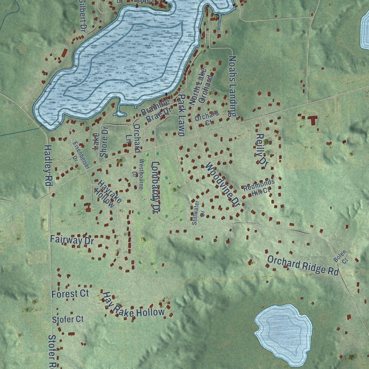 Second close-up of the map of Dexter, Washtenaw County, Michigan print showing more streets and buildings