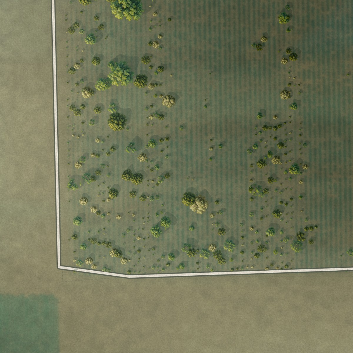 Second close-up of the map of Di Giorgio, California print showing more streets and buildings