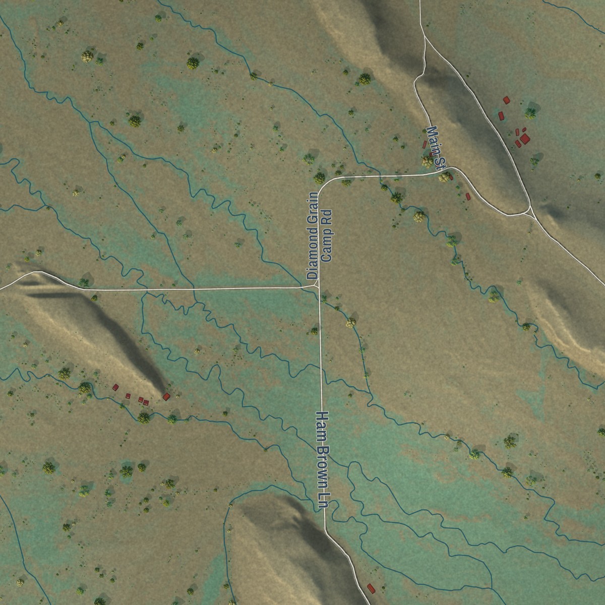 Second close-up of the map of Diamond, Oregon print showing more streets and buildings