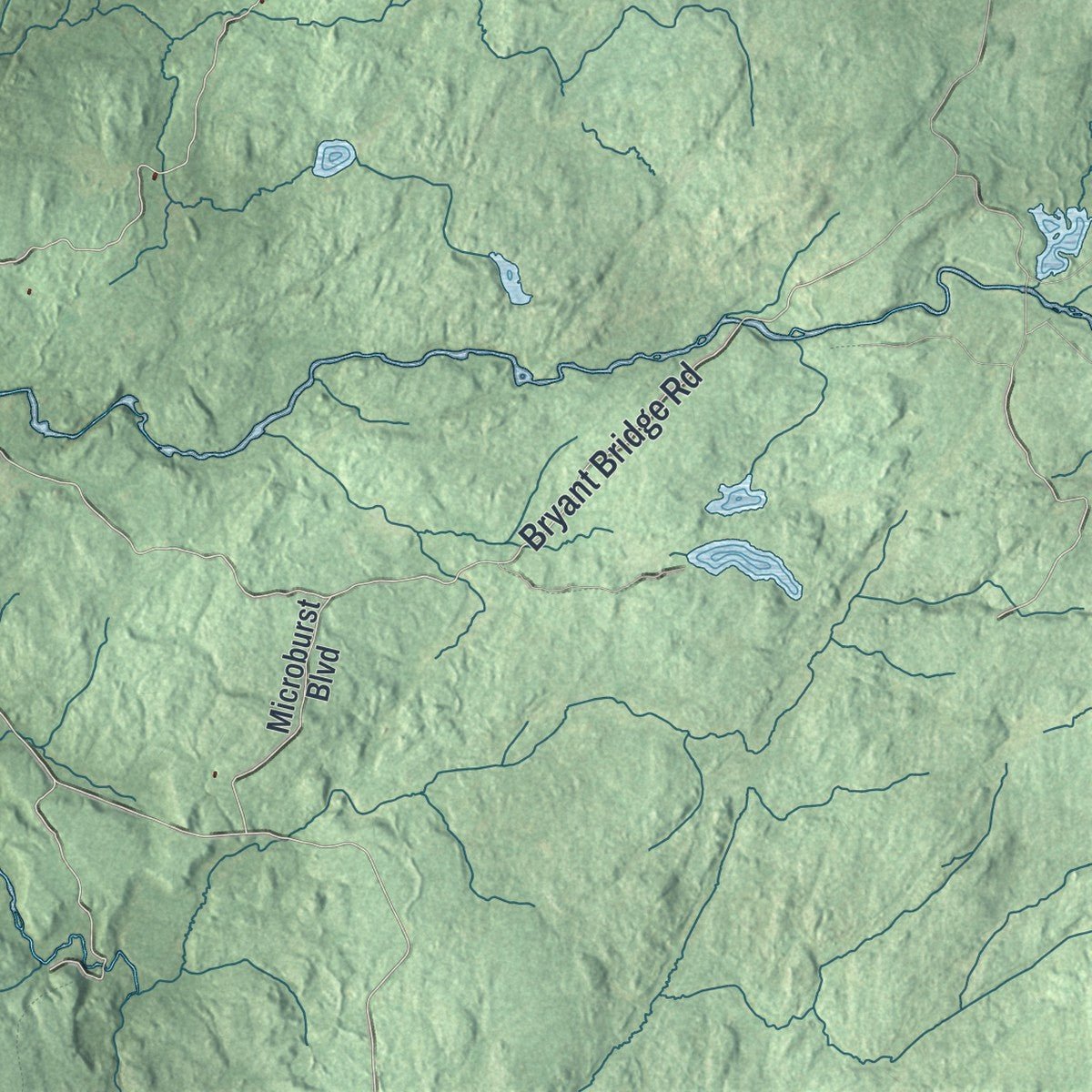 Second close-up of the map of Diana, New York print showing more streets and buildings