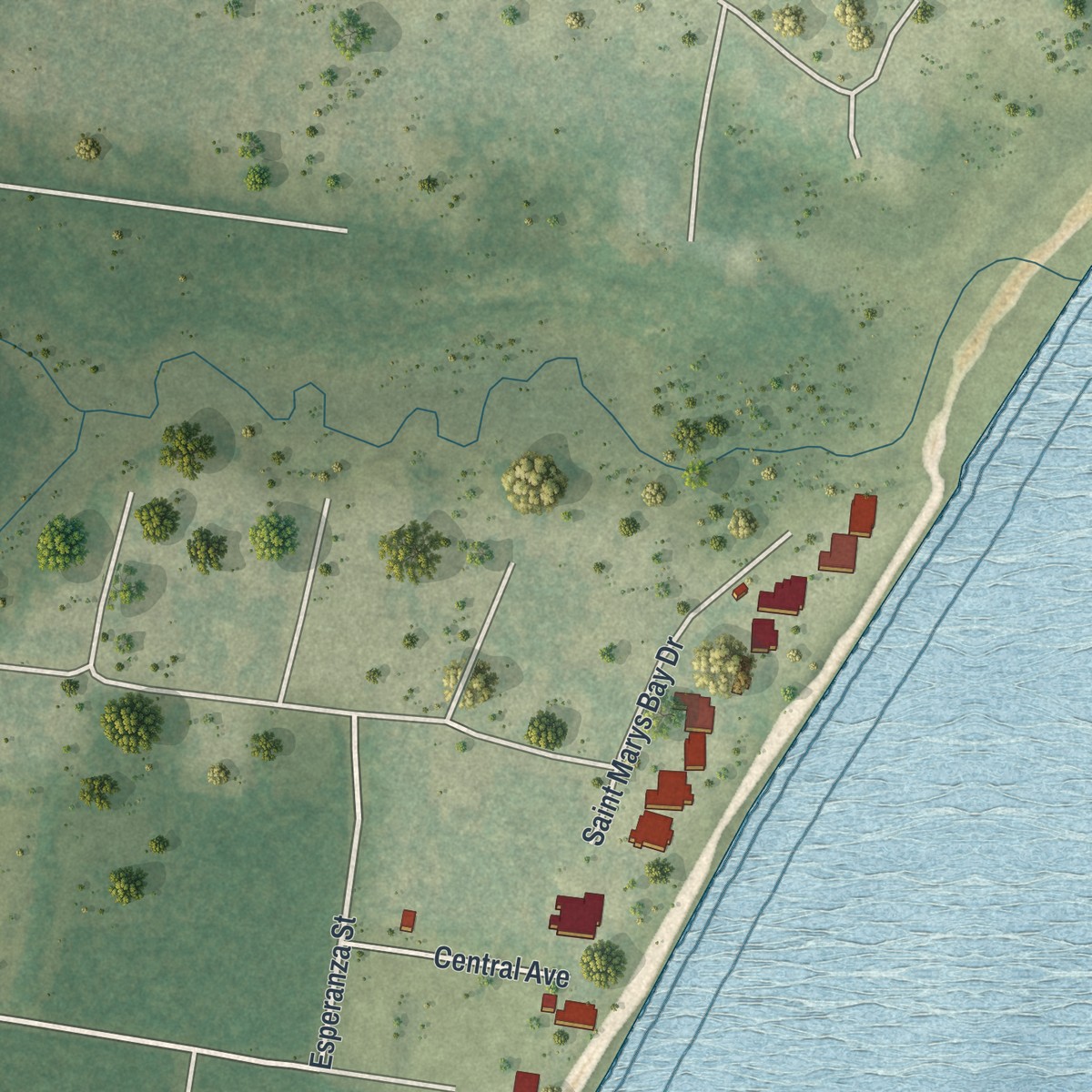 Second close-up of the map of Dickerson City, Florida print showing more streets and buildings
