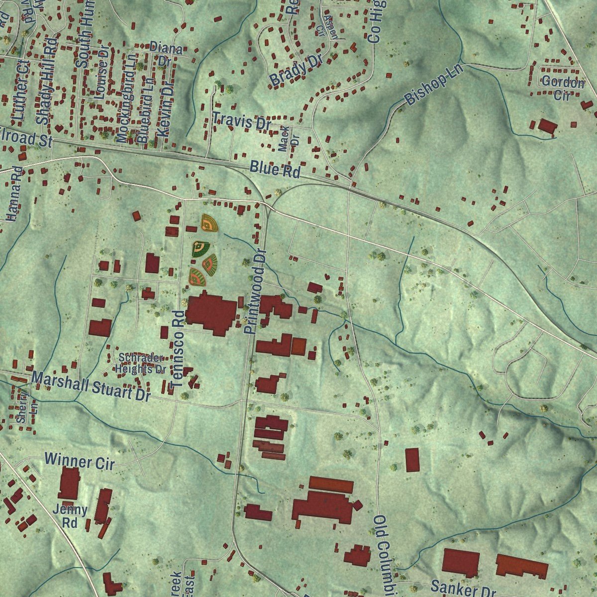 Second close-up of the map of Dickson, Tennessee print showing more streets and buildings
