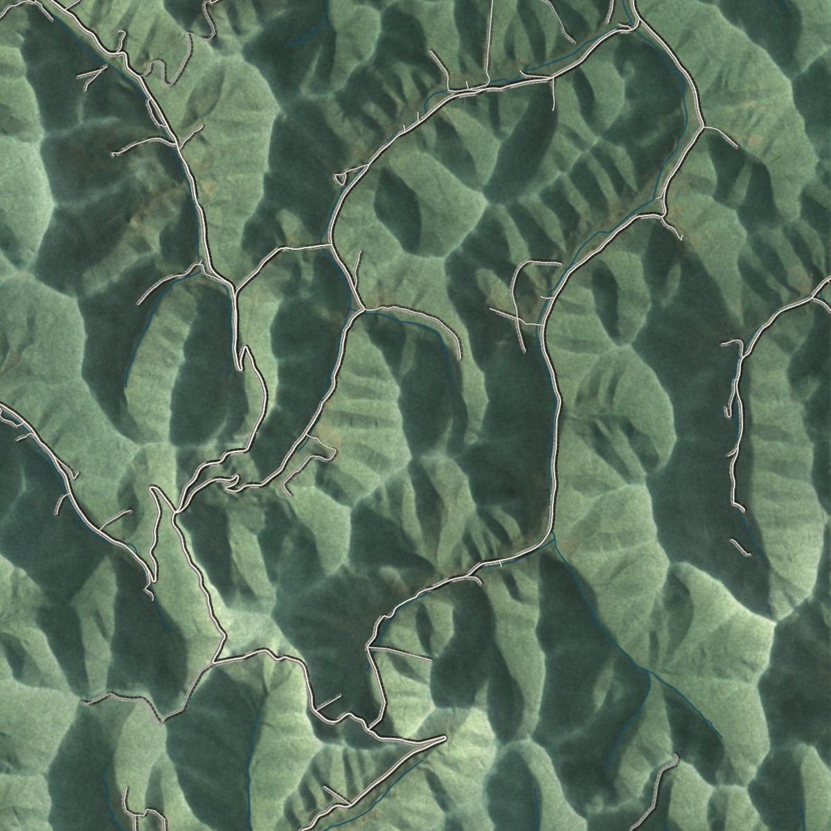 Second close-up of the map of Dingess, West Virginia print showing more streets and buildings