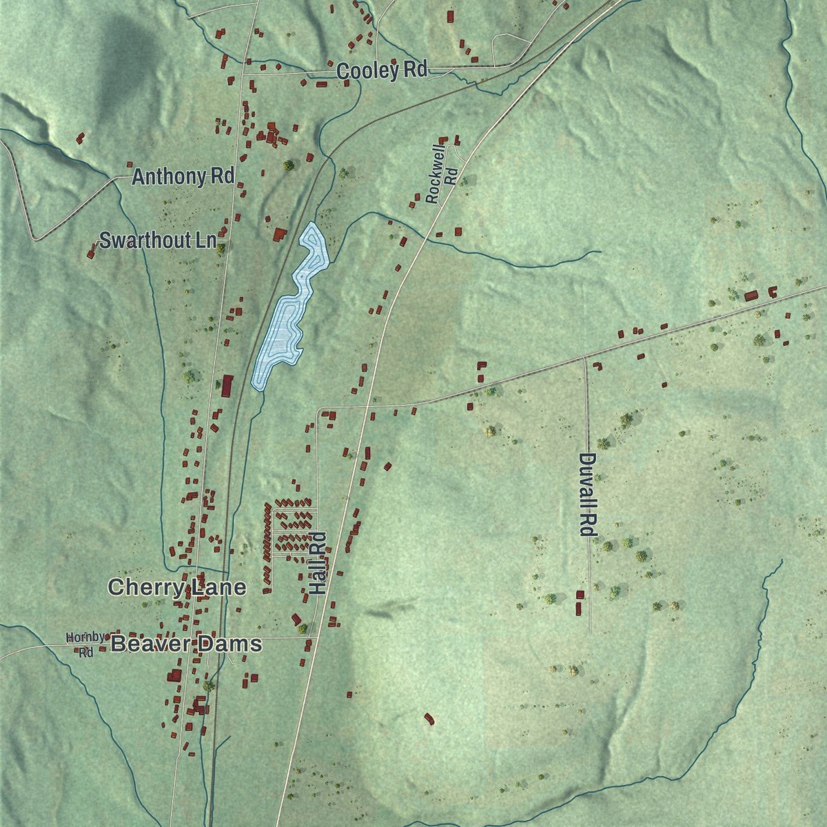 Second close-up of the map of Dix, New York print showing more streets and buildings