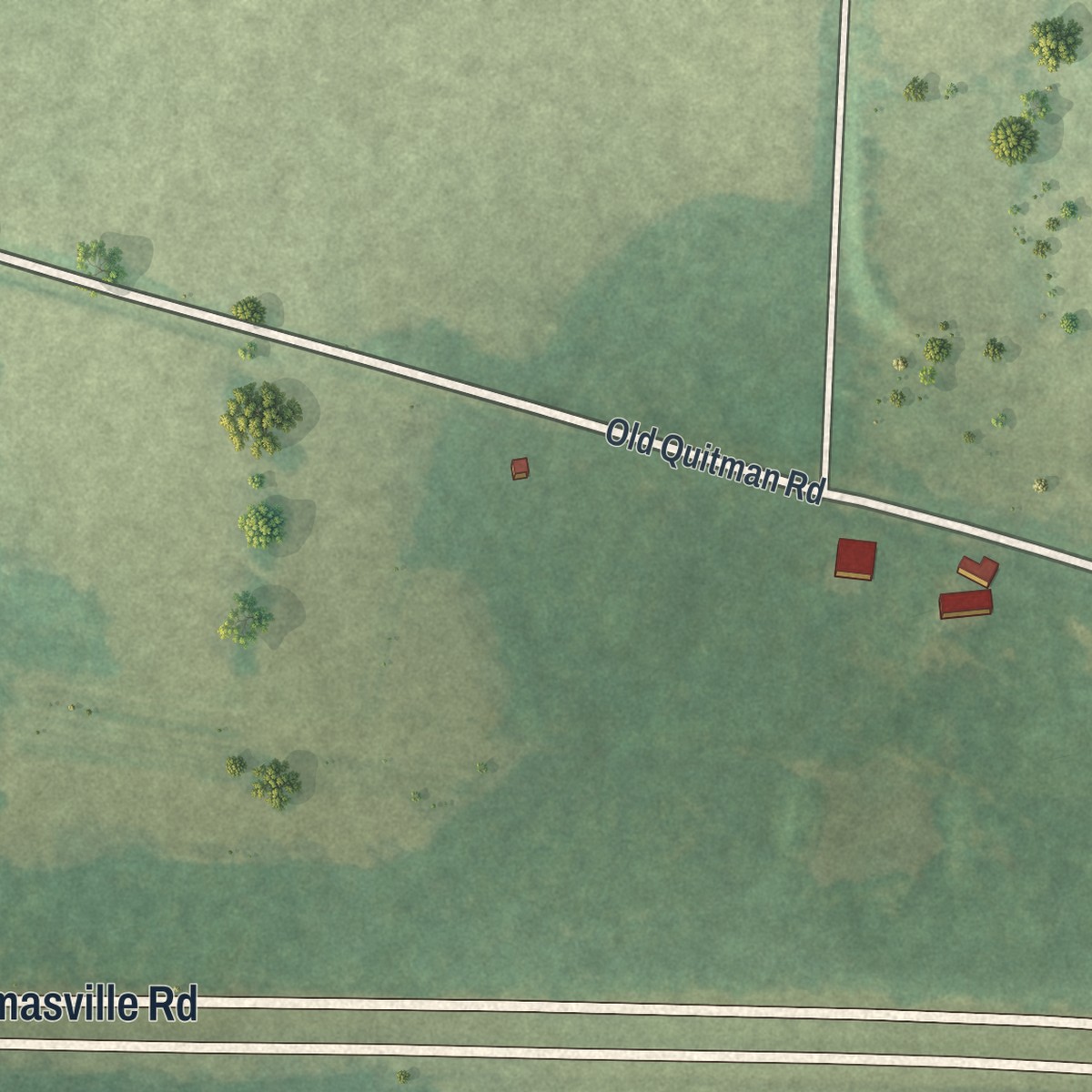 Second close-up of the map of Dixie, Georgia print showing more streets and buildings